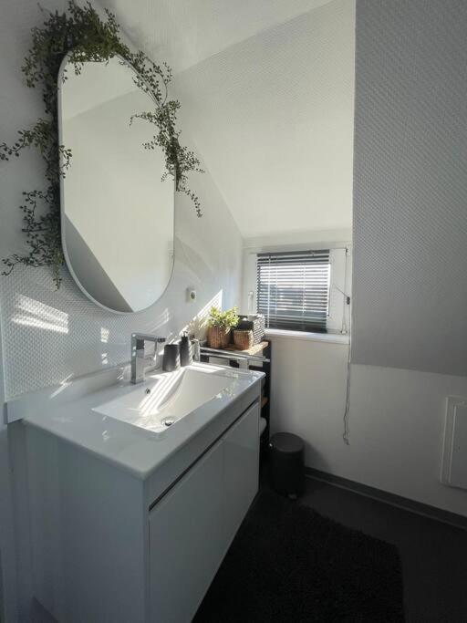 Gemuetliche, Helle Wohnung In Paderborn Exteriér fotografie