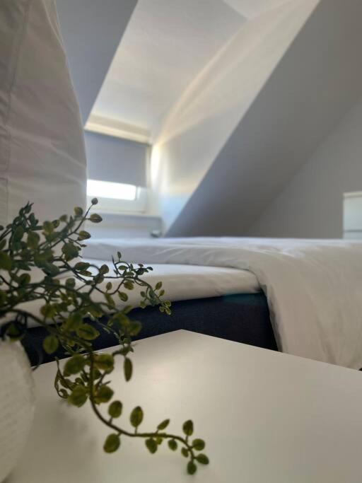Gemuetliche, Helle Wohnung In Paderborn Exteriér fotografie